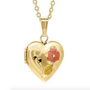 💕Host Pick💕  14K Gold Heart Locket and Chain